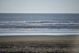 Filename=DSC_6248.JPG
Filesize=16450KiB
Dimensions=7360x4912
Date added=Feb 19, 2022 DSC_6248.JPG