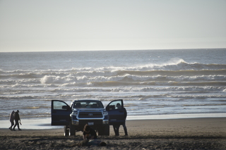 Filename=DSC_6254.JPG
Filesize=15615KiB
Dimensions=7360x4912
Date added=Feb 19, 2022 DSC_6254.JPG