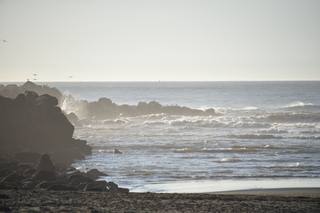 Filename=DSC_6256.JPG
Filesize=15033KiB
Dimensions=7360x4912
Date added=Feb 19, 2022 DSC_6256.JPG