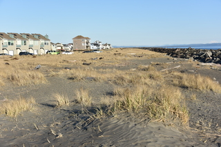 Filename=DSC_6257.JPG
Filesize=22022KiB
Dimensions=7360x4912
Date added=Feb 19, 2022 DSC_6257.JPG