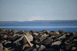 Filename=DSC_6258.JPG
Filesize=14612KiB
Dimensions=7360x4912
Date added=Feb 19, 2022 DSC_6258.JPG