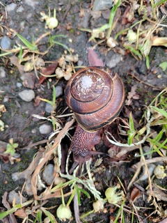 Filename=IMG_20220520_071113.jpg
Filesize=3959KiB
Dimensions=3000x4000
Date added=May 21, 2022 IMG_20220520_071113.jpg