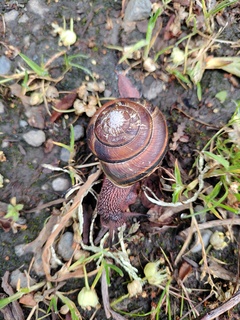 Filename=IMG_20220520_071114.jpg
Filesize=4137KiB
Dimensions=3000x4000
Date added=May 21, 2022 IMG_20220520_071114.jpg