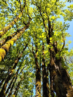 Filename=IMG_20220521_111820.jpg
Filesize=8372KiB
Dimensions=3000x4000
Date added=May 21, 2022 IMG_20220521_111820.jpg