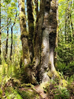 Filename=IMG_20220521_111824.jpg
Filesize=8282KiB
Dimensions=3000x4000
Date added=May 21, 2022 IMG_20220521_111824.jpg