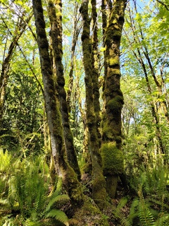 Filename=IMG_20220521_111850.jpg
Filesize=8257KiB
Dimensions=3000x4000
Date added=May 21, 2022 IMG_20220521_111850.jpg