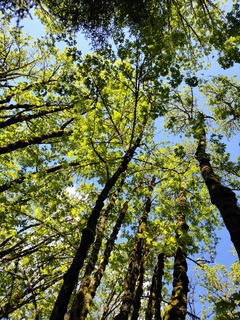 Filename=IMG_20220521_111854.jpg
Filesize=8189KiB
Dimensions=3000x4000
Date added=May 21, 2022 IMG_20220521_111854.jpg