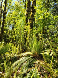 Filename=IMG_20220521_112305.jpg
Filesize=8519KiB
Dimensions=3000x4000
Date added=May 21, 2022 IMG_20220521_112305.jpg