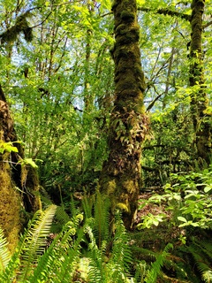 Filename=IMG_20220521_112314.jpg
Filesize=8209KiB
Dimensions=3000x4000
Date added=May 21, 2022 IMG_20220521_112314.jpg