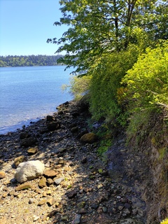 Filename=IMG_20220521_112942.jpg
Filesize=6484KiB
Dimensions=3000x4000
Date added=May 21, 2022 IMG_20220521_112942.jpg