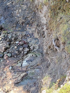 Filename=IMG_20220521_112952.jpg
Filesize=4562KiB
Dimensions=3000x4000
Date added=May 21, 2022 IMG_20220521_112952.jpg