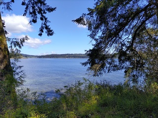 Filename=IMG_20220521_113036.jpg
Filesize=7116KiB
Dimensions=4000x3000
Date added=May 21, 2022 IMG_20220521_113036.jpg