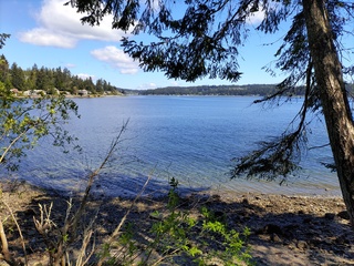 Filename=IMG_20220521_113236.jpg
Filesize=6308KiB
Dimensions=4000x3000
Date added=May 21, 2022 IMG_20220521_113236.jpg