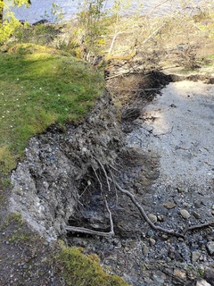 Filename=IMG_20220521_113315.jpg
Filesize=8277KiB
Dimensions=3000x4000
Date added=May 21, 2022 IMG_20220521_113315.jpg