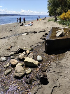 Filename=IMG_20220521_124016.jpg
Filesize=7041KiB
Dimensions=3000x4000
Date added=May 21, 2022 IMG_20220521_124016.jpg