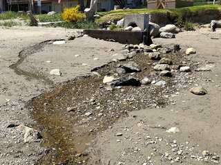 Filename=IMG_20220521_124133.jpg
Filesize=7182KiB
Dimensions=4000x3000
Date added=May 21, 2022 IMG_20220521_124133.jpg