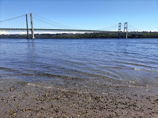 Filename=IMG_20220521_124308.jpg
Filesize=6416KiB
Dimensions=4000x3000
Date added=May 21, 2022 IMG_20220521_124308.jpg