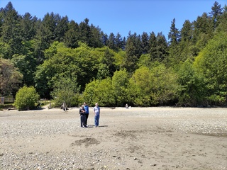 Filename=IMG_20220521_124321.jpg
Filesize=8206KiB
Dimensions=4000x3000
Date added=May 21, 2022 IMG_20220521_124321.jpg