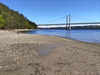 Filename=IMG_20220521_124436.jpg
Filesize=5384KiB
Dimensions=4000x3000
Date added=May 21, 2022 IMG_20220521_124436.jpg