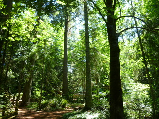 Filename=P1080487.JPG
Filesize=5656KiB
Dimensions=4320x3240
Date added=Jul 24, 2020 P1080487.JPG