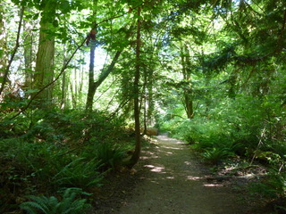 Filename=P1080489.JPG
Filesize=5612KiB
Dimensions=4320x3240
Date added=Jul 24, 2020 P1080489.JPG