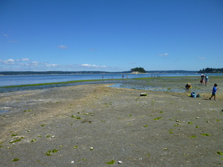 Filename=P1080496.JPG
Filesize=5649KiB
Dimensions=4320x3240
Date added=Jul 24, 2020 P1080496.JPG