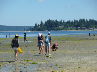 Filename=P1080500.JPG
Filesize=5506KiB
Dimensions=4320x3240
Date added=Jul 24, 2020 P1080500.JPG