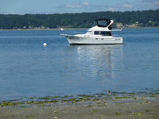 Filename=P1080501.JPG
Filesize=5265KiB
Dimensions=4320x3240
Date added=Jul 24, 2020 P1080501.JPG