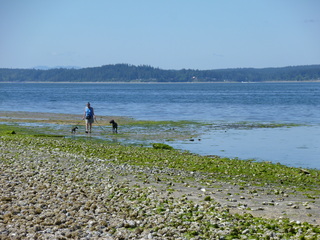 Filename=P1080502.JPG
Filesize=5661KiB
Dimensions=4320x3240
Date added=Jul 24, 2020 P1080502.JPG