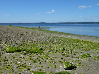 Filename=P1080503.JPG
Filesize=5333KiB
Dimensions=4320x3240
Date added=Jul 24, 2020 P1080503.JPG