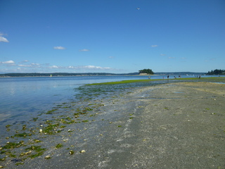 Filename=P1080506.JPG
Filesize=5590KiB
Dimensions=4320x3240
Date added=Jul 24, 2020 P1080506.JPG