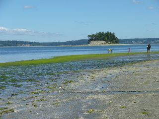 Filename=P1080507.JPG
Filesize=5582KiB
Dimensions=4320x3240
Date added=Jul 24, 2020 P1080507.JPG