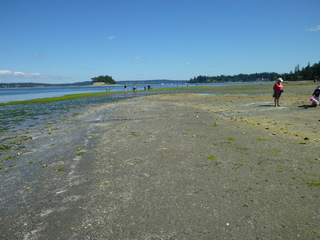 Filename=P1080511.JPG
Filesize=5212KiB
Dimensions=4320x3240
Date added=Jul 24, 2020 P1080511.JPG