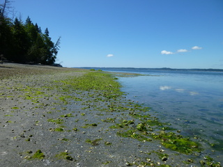 Filename=P1080512.JPG
Filesize=5449KiB
Dimensions=4320x3240
Date added=Jul 24, 2020 P1080512.JPG