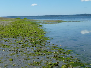 Filename=P1080513.JPG
Filesize=5069KiB
Dimensions=4320x3240
Date added=Jul 24, 2020 P1080513.JPG