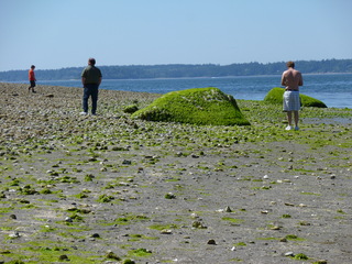 Filename=P1080518.JPG
Filesize=5279KiB
Dimensions=4320x3240
Date added=Jul 24, 2020 P1080518.JPG