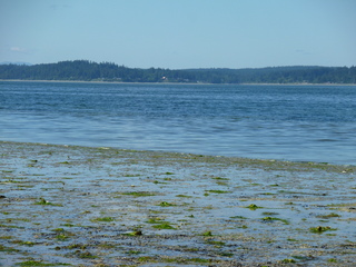 Filename=P1080519.JPG
Filesize=5579KiB
Dimensions=4320x3240
Date added=Jul 24, 2020 P1080519.JPG