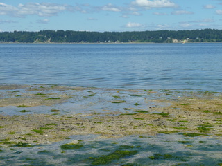 Filename=P1080520.JPG
Filesize=5725KiB
Dimensions=4320x3240
Date added=Jul 24, 2020 P1080520.JPG