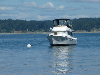 Filename=P1080521.JPG
Filesize=5376KiB
Dimensions=4320x3240
Date added=Jul 24, 2020 P1080521.JPG