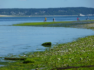 Filename=P1080523.JPG
Filesize=5711KiB
Dimensions=4320x3240
Date added=Jul 24, 2020 P1080523.JPG