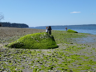 Filename=P1080527.JPG
Filesize=5277KiB
Dimensions=4320x3240
Date added=Jul 24, 2020 P1080527.JPG