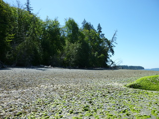 Filename=P1080528.JPG
Filesize=5515KiB
Dimensions=4320x3240
Date added=Jul 24, 2020 P1080528.JPG