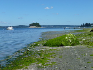 Filename=P1080532.JPG
Filesize=5363KiB
Dimensions=4320x3240
Date added=Jul 24, 2020 P1080532.JPG