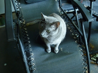 Filename=P1080544.JPG
Filesize=5742KiB
Dimensions=4320x3240
Date added=Jul 24, 2020 P1080544.JPG