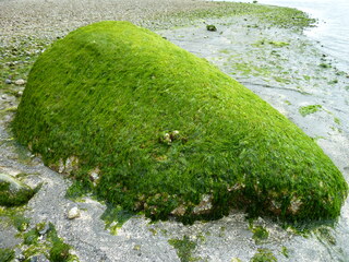 Filename=P1080545.JPG
Filesize=5541KiB
Dimensions=4320x3240
Date added=Jul 24, 2020 P1080545.JPG