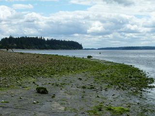 Filename=P1080546.JPG
Filesize=5771KiB
Dimensions=4320x3240
Date added=Jul 24, 2020 P1080546.JPG