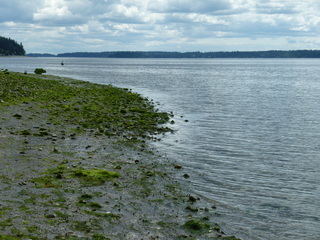 Filename=P1080547.JPG
Filesize=5754KiB
Dimensions=4320x3240
Date added=Jul 24, 2020 P1080547.JPG