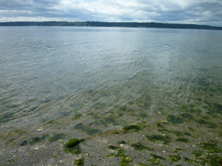 Filename=P1080552.JPG
Filesize=5558KiB
Dimensions=4320x3240
Date added=Jul 24, 2020 P1080552.JPG