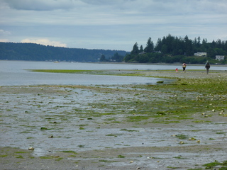 Filename=P1080554.JPG
Filesize=5202KiB
Dimensions=4320x3240
Date added=Jul 24, 2020 P1080554.JPG