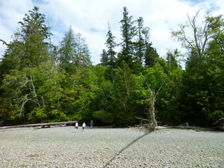 Filename=P1080561.JPG
Filesize=5738KiB
Dimensions=4320x3240
Date added=Jul 24, 2020 P1080561.JPG